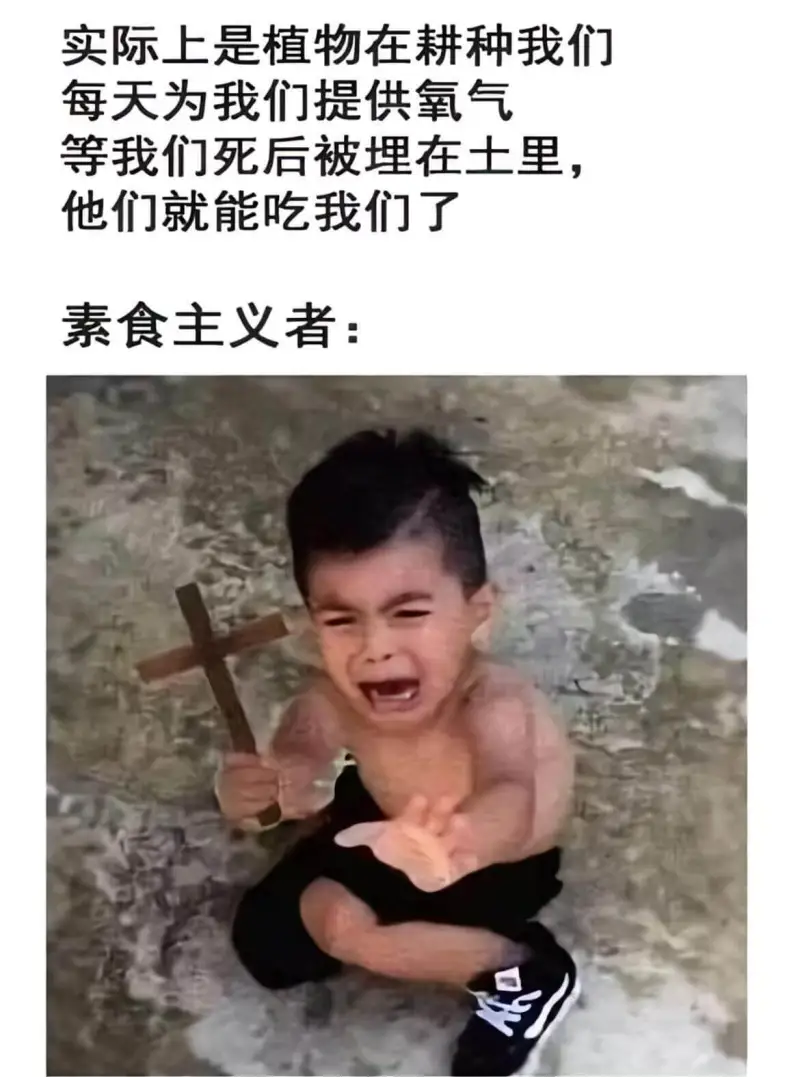 实际上是植物在耕种我们每天为我们提供氧气等我们死后被埋在土里