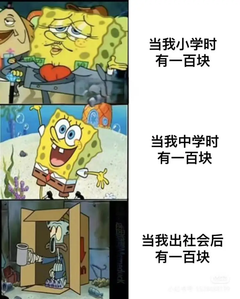 迷因烧鸭Memeduck当我小学时有一百块当我中学时有一百块