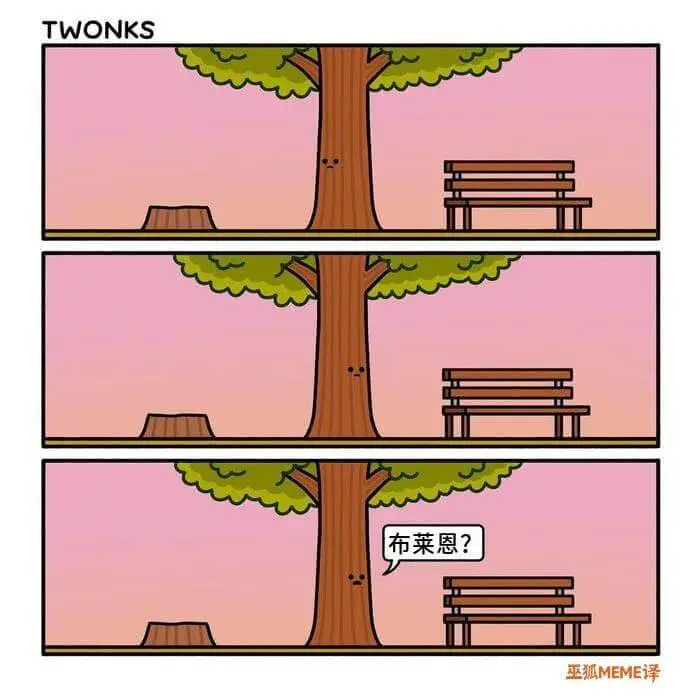 TWONKS布莱恩？巫狐MEME译