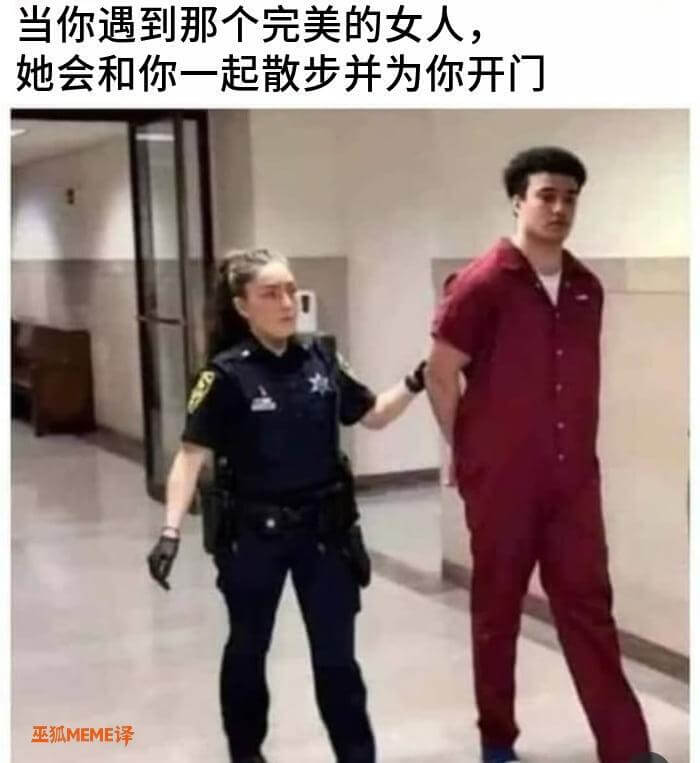 当你遇到那个完美的女人！她会和你一起散步，并为你开门。巫狐M