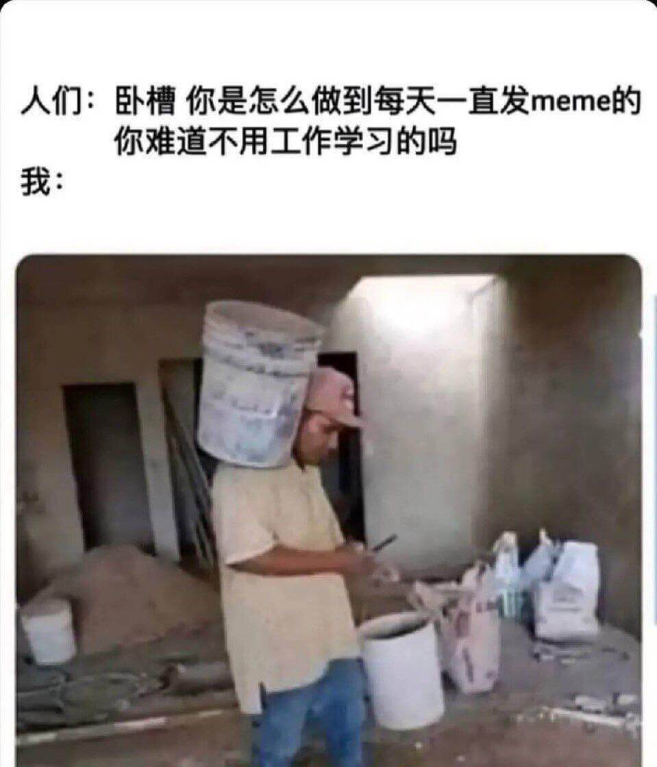 人们：卧槽你是怎么做到每天一直发meme的你难道不用工作学习