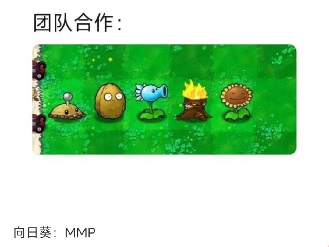 团队合作:向日葵:MMP
