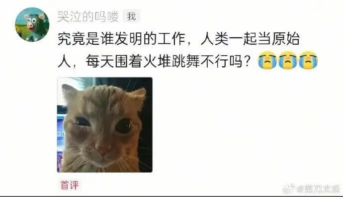 梗图