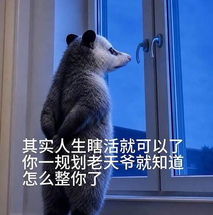 其实人生瞎活就可以了，你一规划，老天爷就知道怎么整你了。