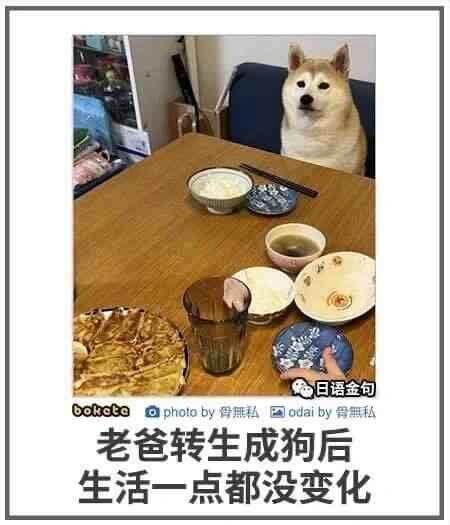 日语：金包boloteaphotoby骨無私国odaiby每