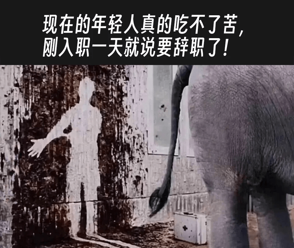 现在的年轻人真的吃不了苦，刚入职一天就说要辞职了！
