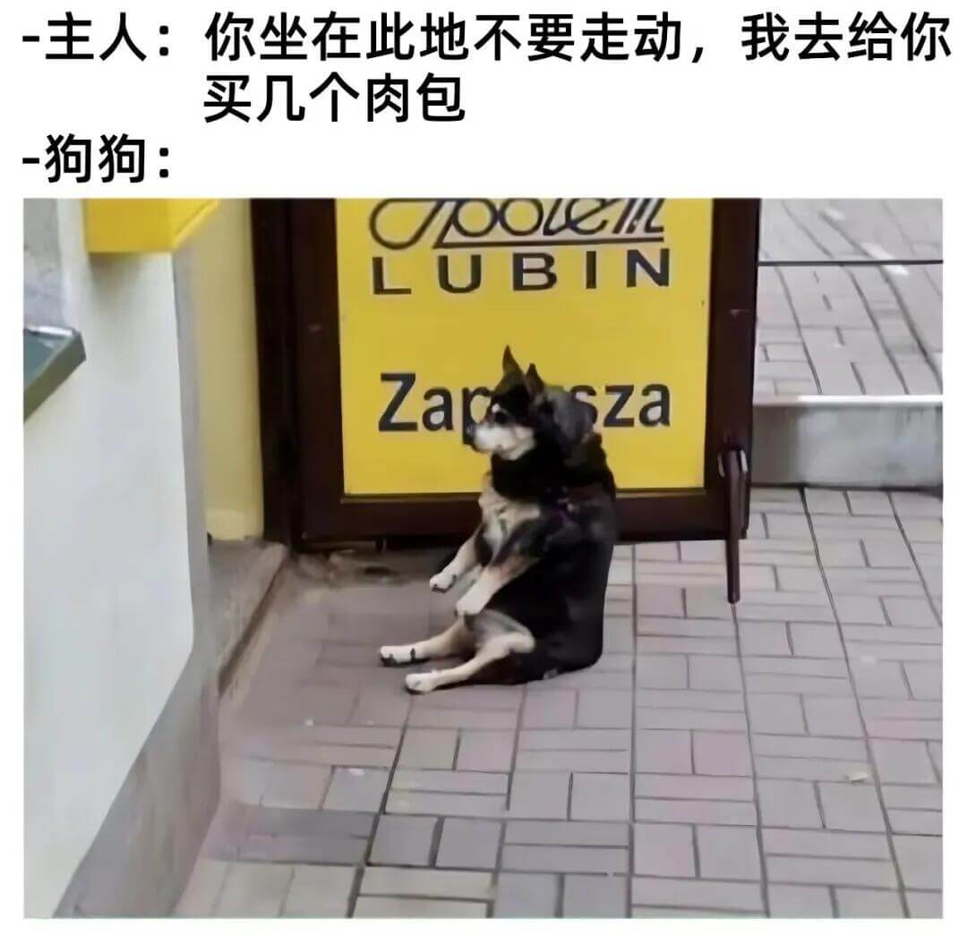 -主人：你坐在此地不要走动，我去给你买几个肉包。一狗狗：oo