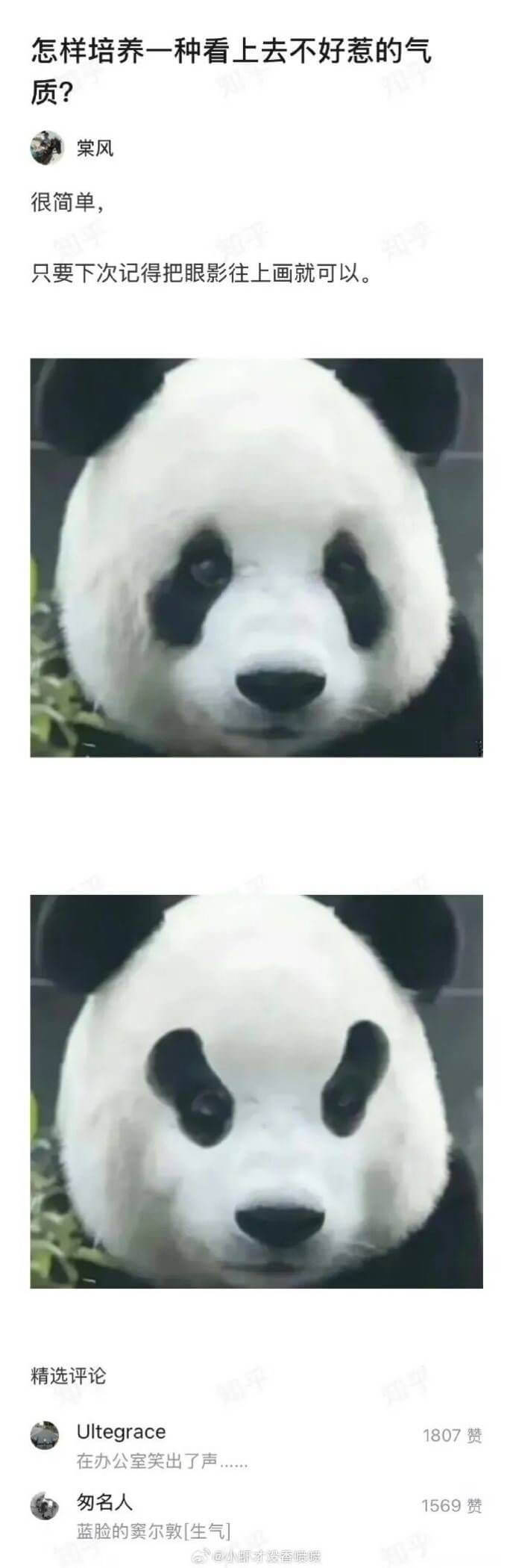 怎样培养一种看上去不好惹的气质？棠风很简单，只要下次记得把眼