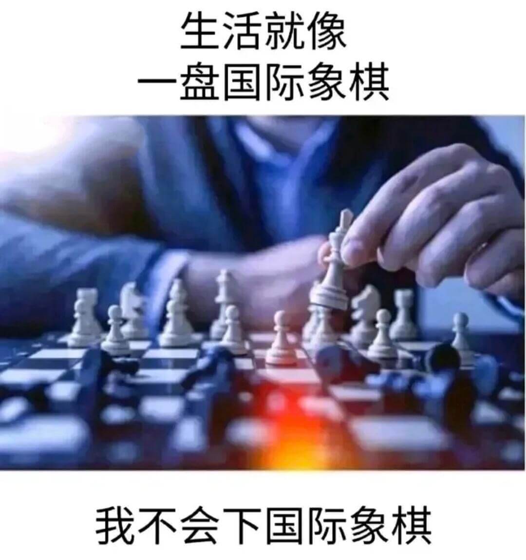 生活就像一盘国际象棋。我不会下国际象棋。