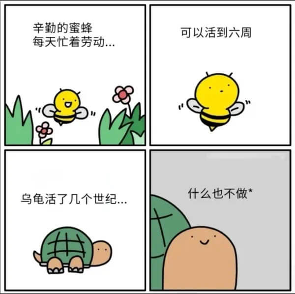 辛勤的蜜蜂可以活到六周，每天忙着劳动……什么也不做？乌龟活了