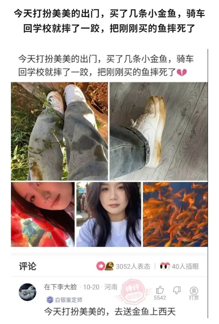 今天打扮美美的出门,买了几条小金鱼,骑车回学校就摔了一跤,把