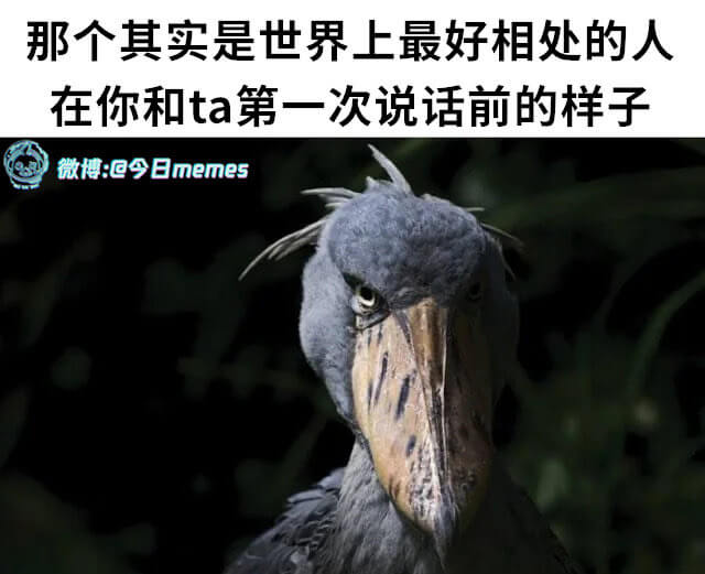 那个其实是世界上最好相处的人在你和ta第一次说话前的样子微博
