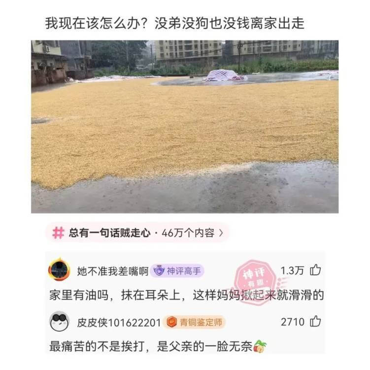 我现在该怎么办？没弟没狗也没钱离家出走。总有一句话贼走心·4