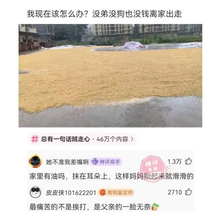 我现在该怎么办？没弟没狗也没钱离家出走。总有一句话贼走心·4