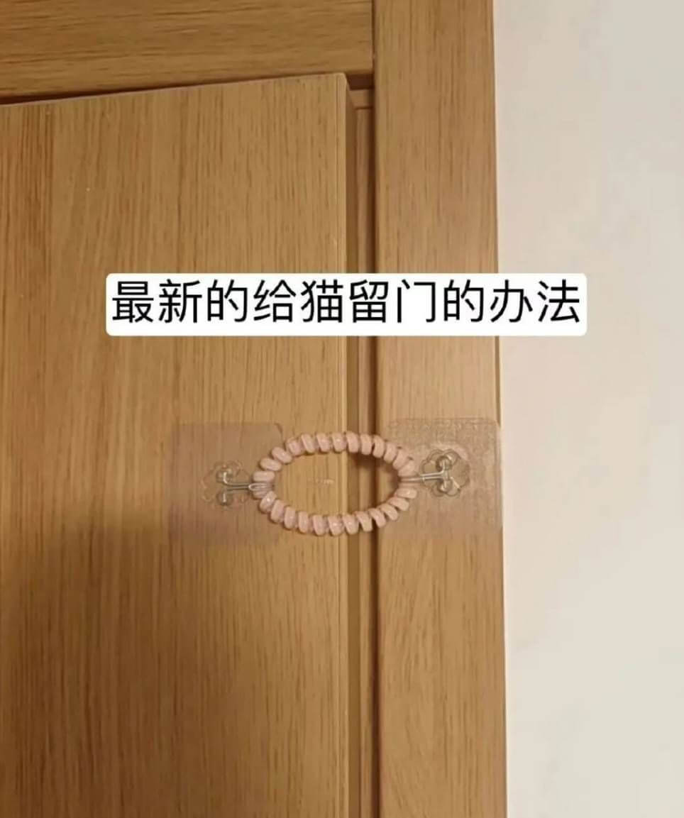 最新的给猫留门的办法