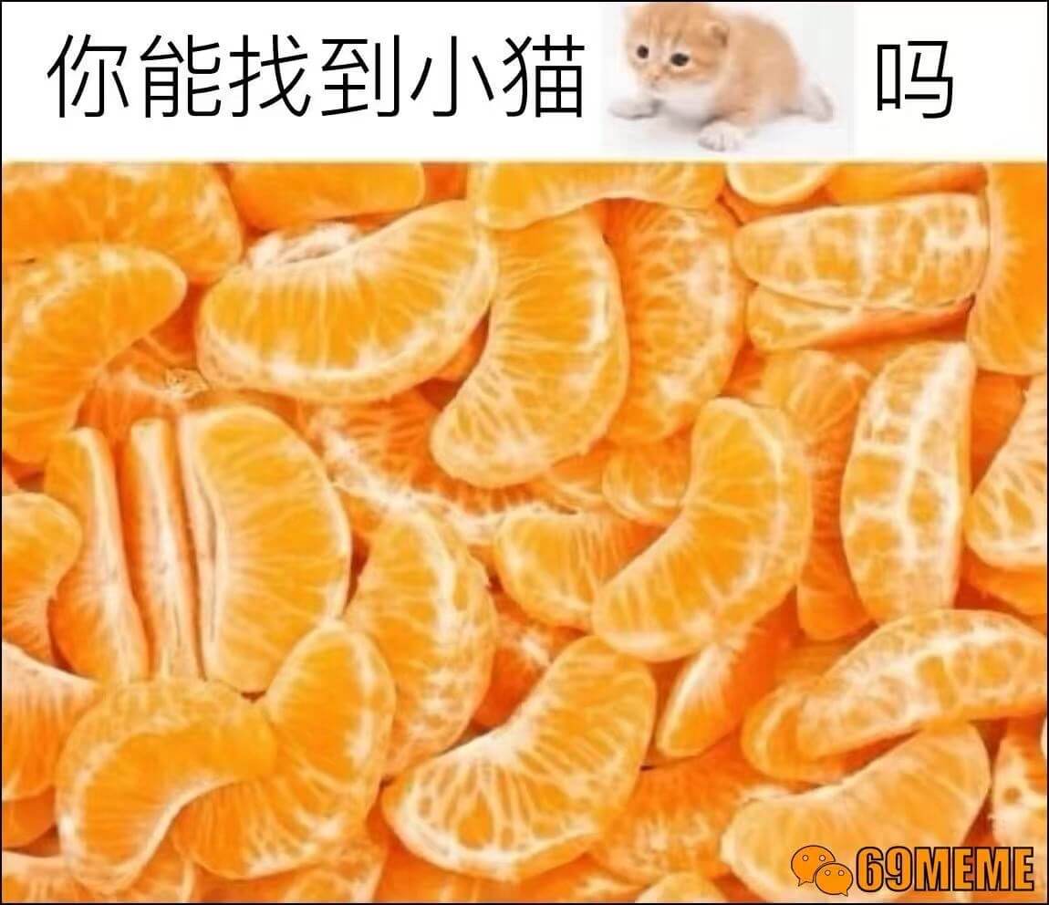 你能找到小猫吗G9MEME