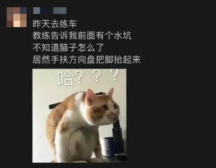 昨天去练车。教练告诉我前面有个水坑。不知道脑子怎么了，居然手