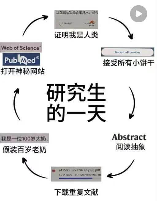 正在验证您是否是真人，这可证明我是人类WebofScienc