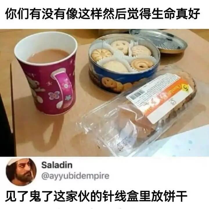 你们有没有像这样，然后觉得生命真好？Saladin@ayyu