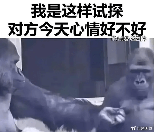 我是这样试探对方今天心情好不好译/制@迷因体@迷因体