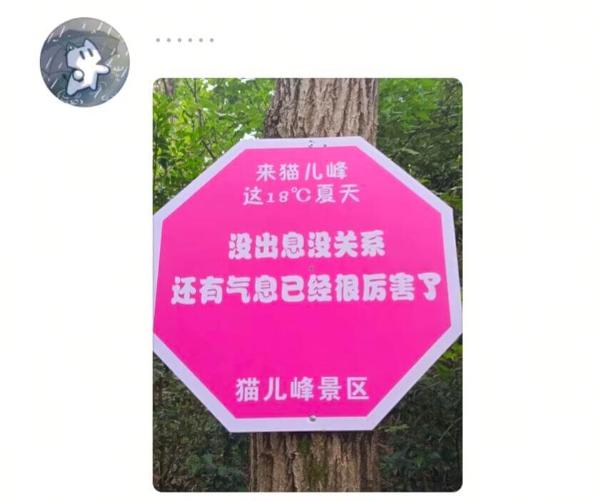 来猫儿峰这18℃夏天没出息没关系还有气息已经很厉害了猫儿峰景