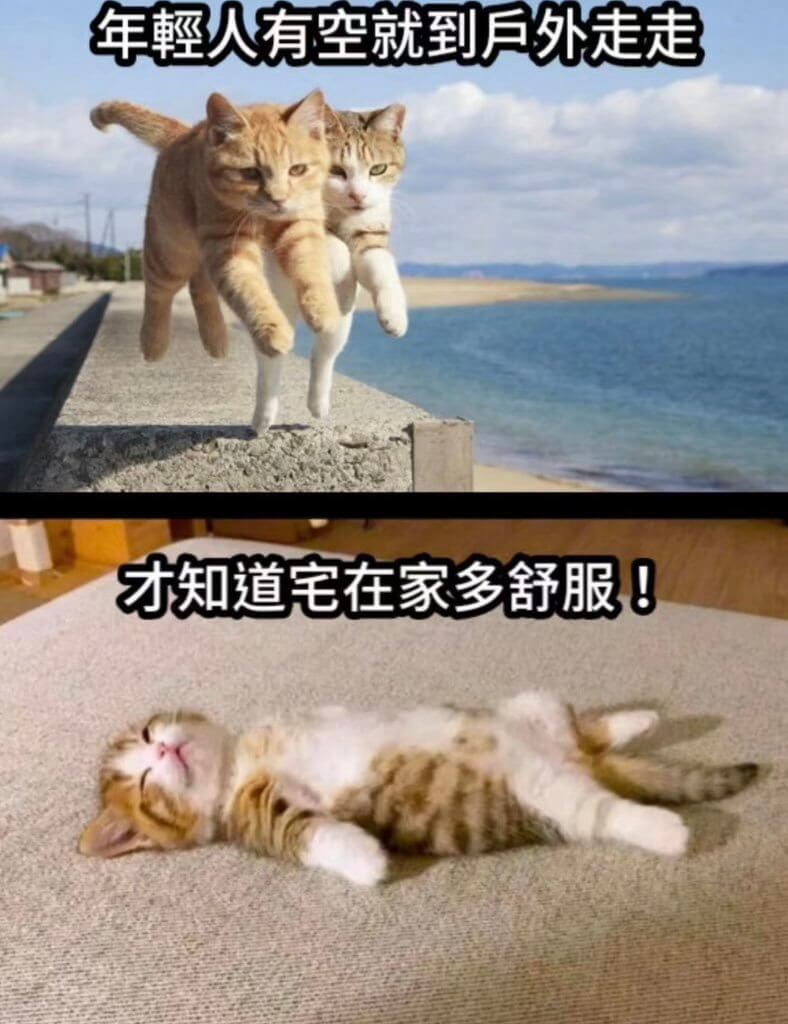 年輕人有空就到户外走走才知道宅在家多舒服