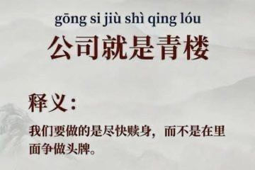 gongsijiushiqinglou公司就是青楼释义：我们