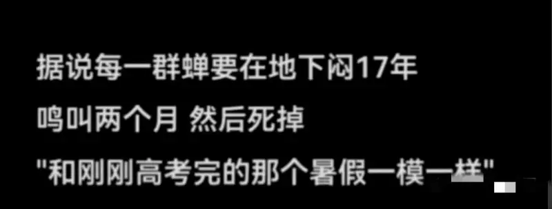 据说每一群蝉要在地下闷17年。鸣叫两个月，然后死掉。“和刚刚