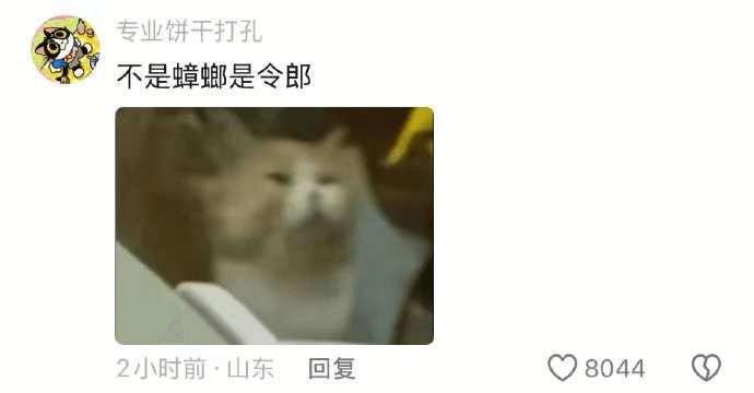 专业饼干打孔不是蟑螂是令郎2小时前·山东回复Q8044