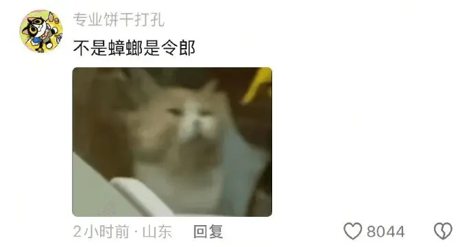 专业饼干打孔不是蟑螂是令郎2小时前·山东回复Q8044