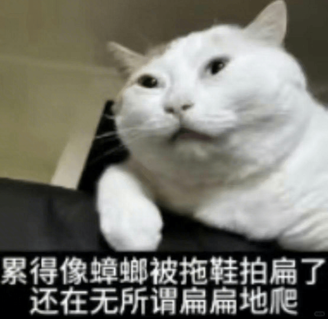累得像蟑螂被拖鞋拍扁了，还在无所事事地爬。