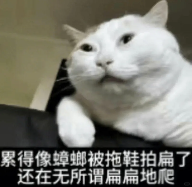 累得像蟑螂被拖鞋拍扁了，还在无所事事地爬。