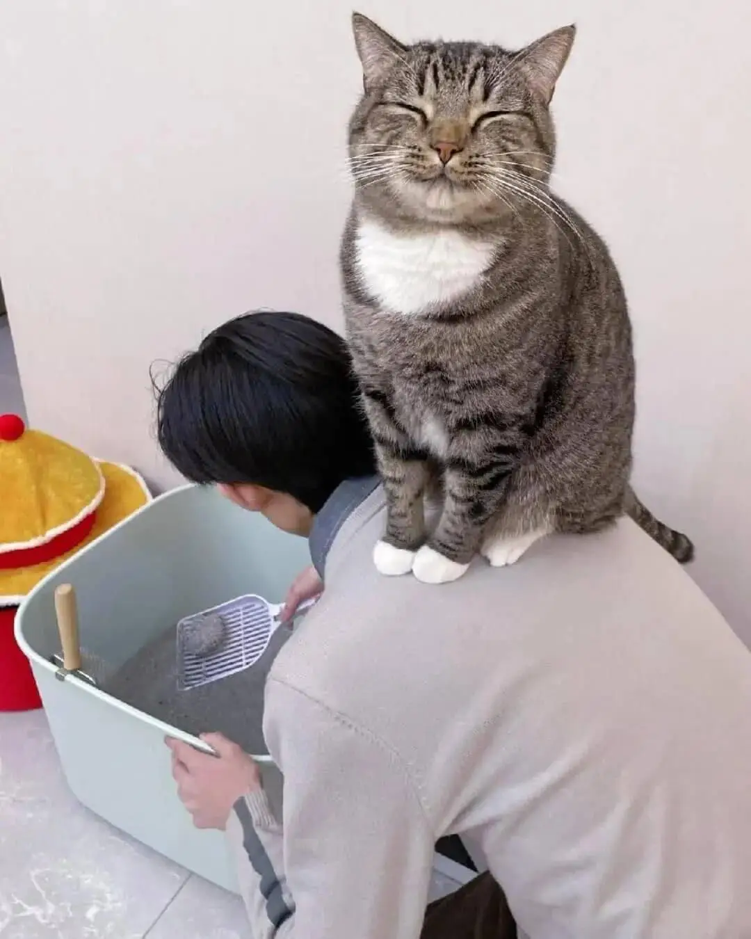 嘻嘻VS不嘻嘻～