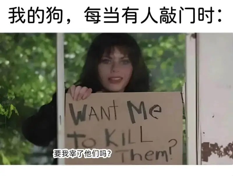 我的狗，每当有人敲门时：MeWANTTOKILL要我宰了他们