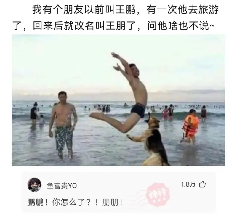 我有个朋友以前叫王鹏，有一次他去旅游了，回来后就改名叫王朋了