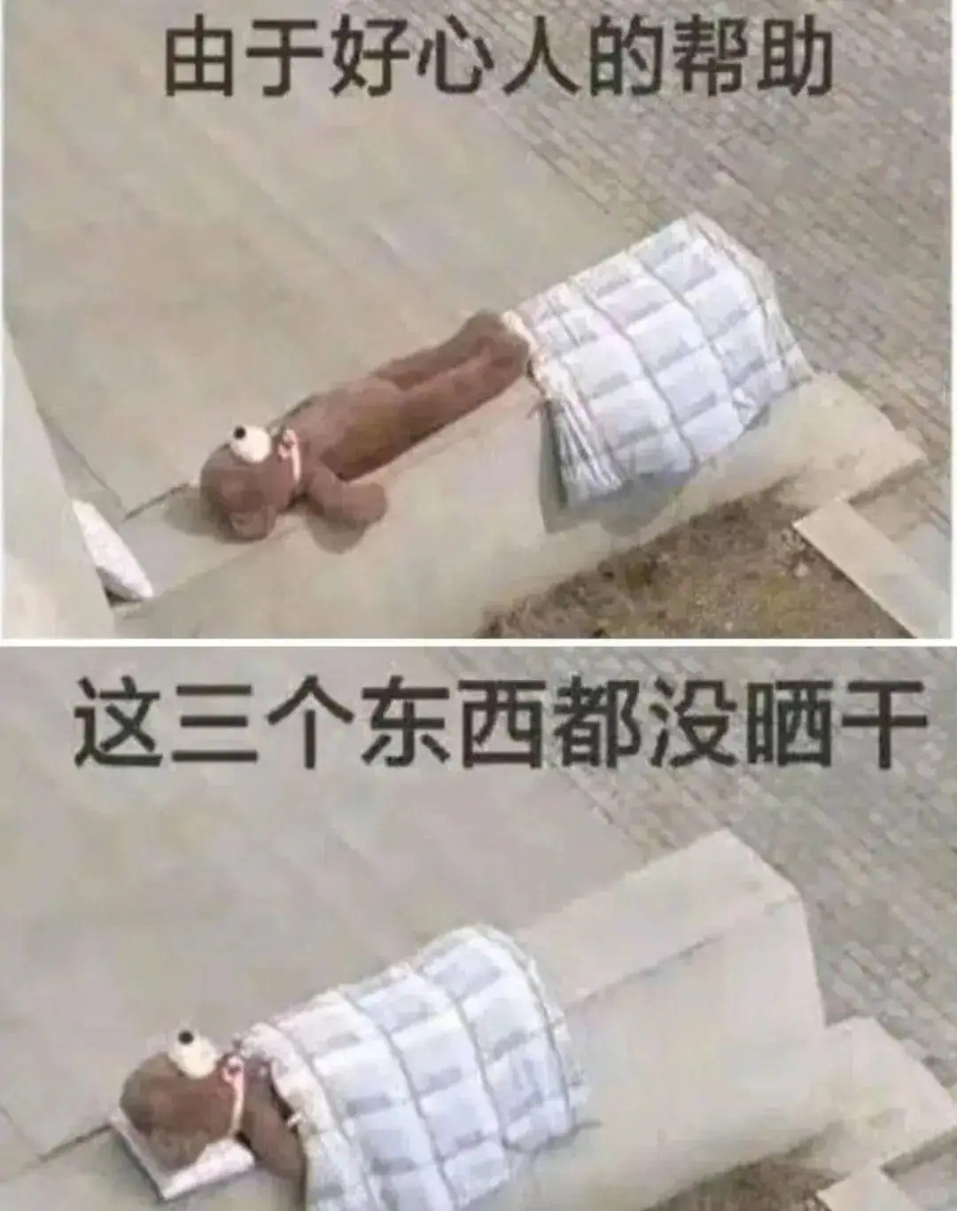 由于好心人的帮助，这三个东西都没晒干。