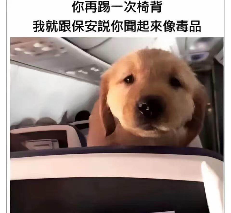 你再踢一次椅背，我就跟保安说你闻起来像毒品。