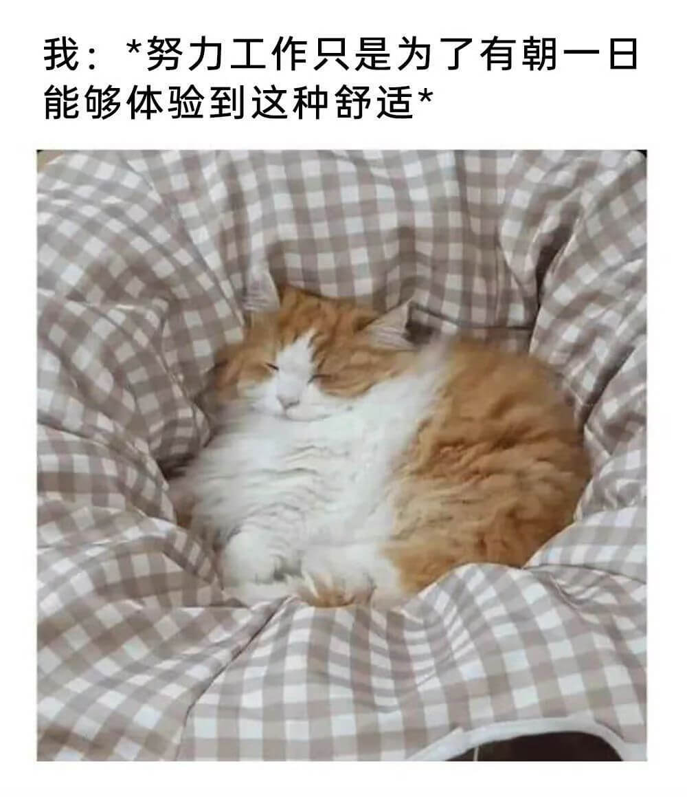 我:*努力工作只是为了有朝一日能够体验到这种舒适*