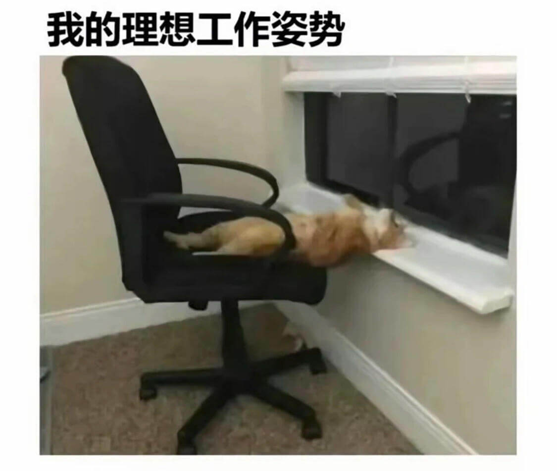 我的理想工作姿势