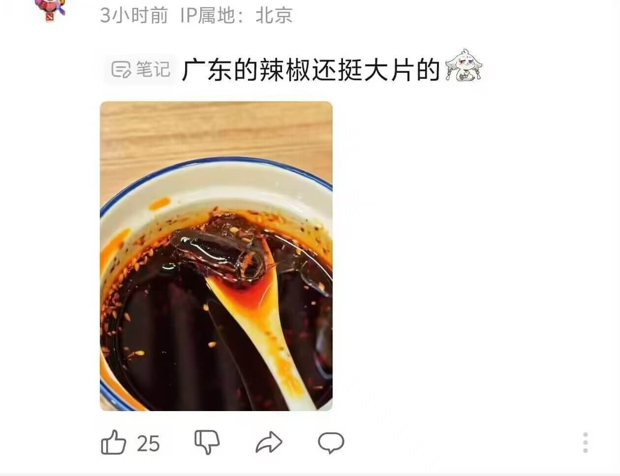 3小时前IP属地：北京民笔记广东的辣椒还挺大片的25