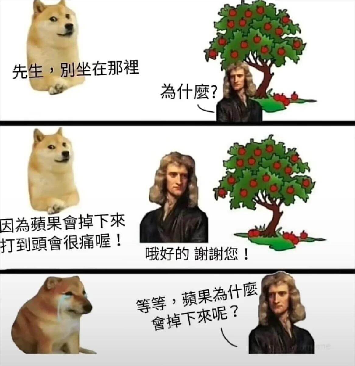 先生，别坐在那裡為什麼？因為果會掉下来打到頭會很痛喔！哦好的