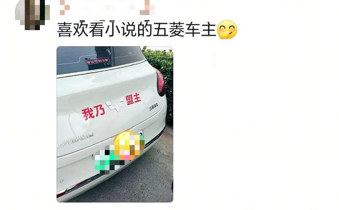 喜欢看小说的五菱车主无盟主我乃上汽
