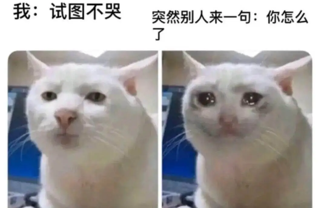 我：试图不哭突然别人来一句：你怎么了
