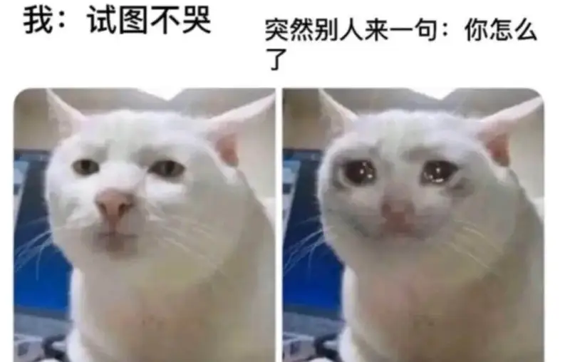 我：试图不哭突然别人来一句：你怎么了
