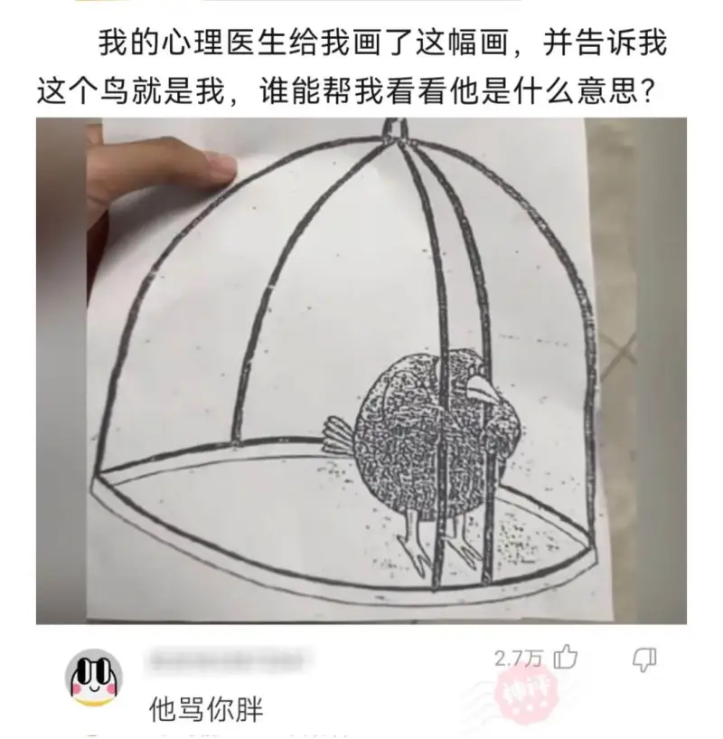 我的心理医生给我画了这幅画，并告诉我这个鸟就是我，谁能帮我看