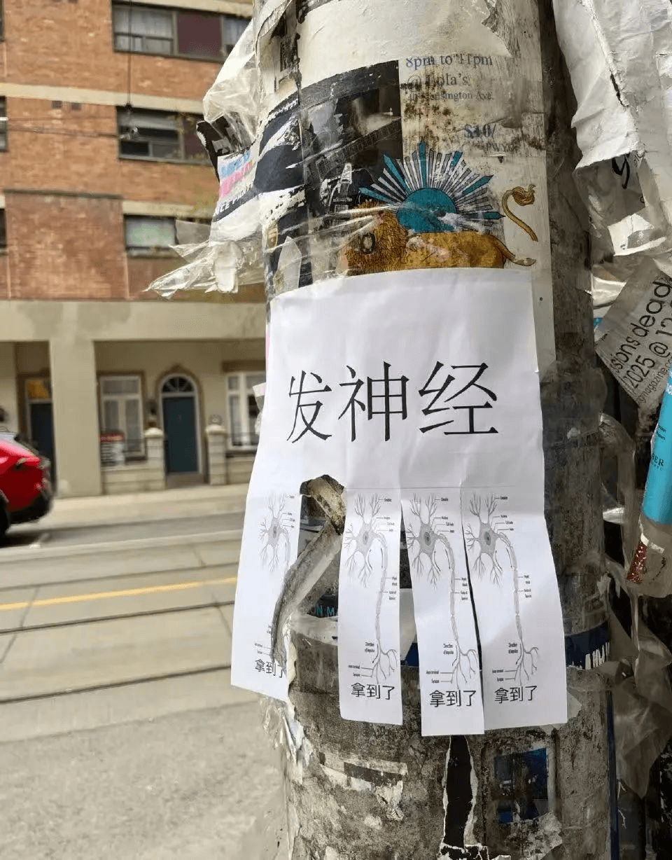 发神经拿到了拿到了拿到了