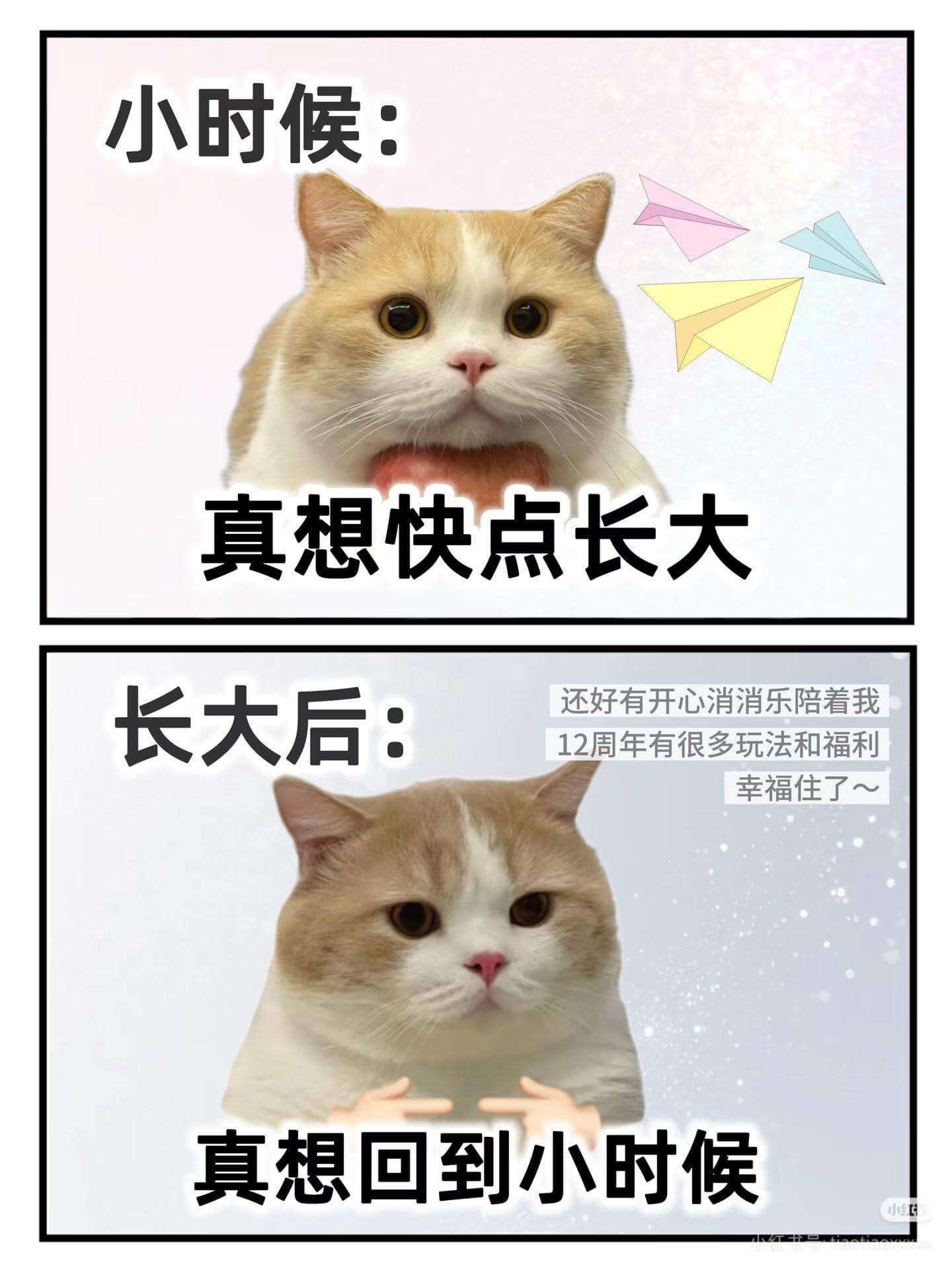 小时候:真想快点长大长大后:还好有开心消消乐陪着我12周年有