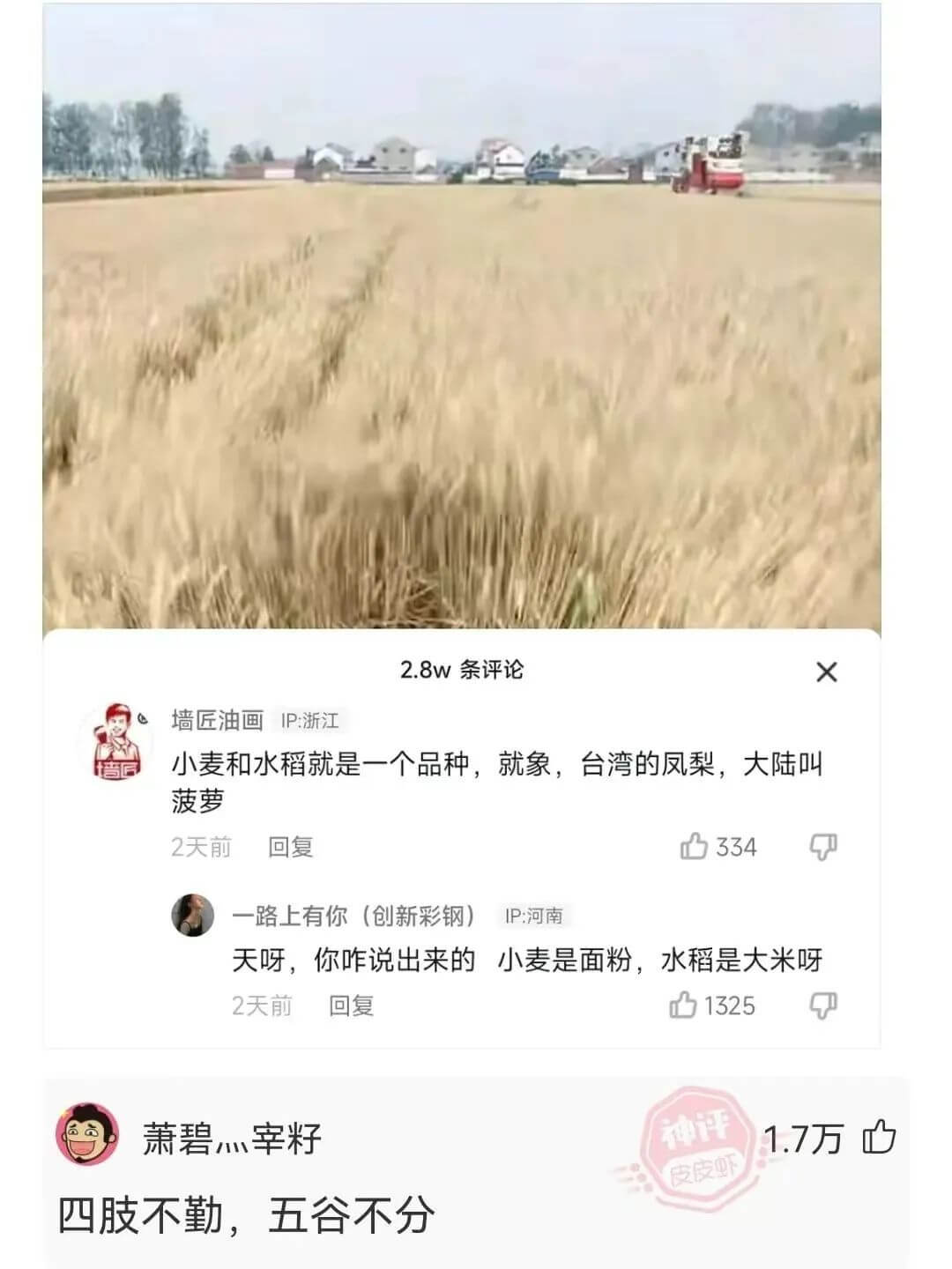 2.8w条评论X墙匠油画IP:浙江小麦和水稻就是一个品种,就