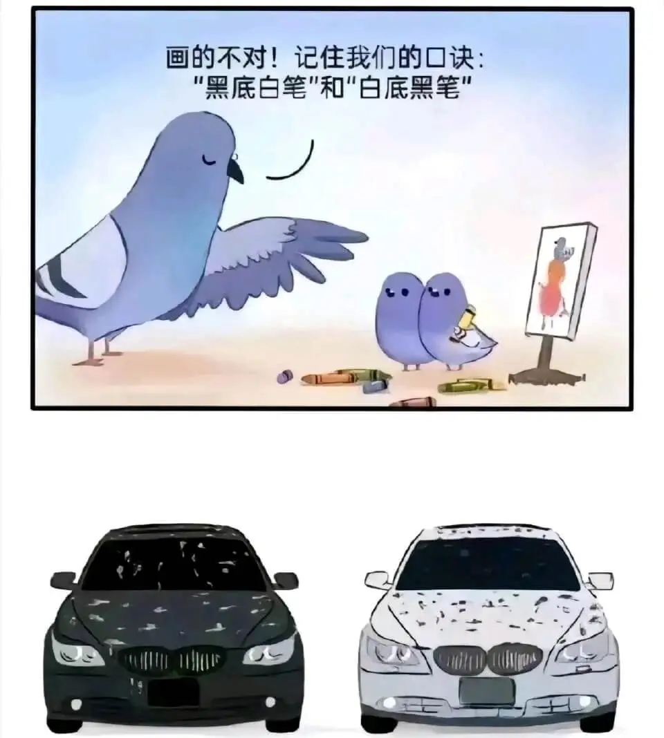 画的不对!记住我们的口诀：“黑底白笔”和“白底黑笔”