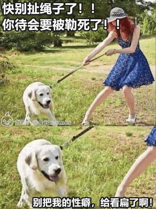 快别扯绳子了！！你待会要被勒死了！！别把我的性癖，给看扁了啊